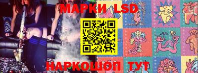 шишки Гатчина