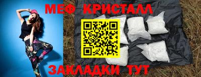 шишки Гатчина