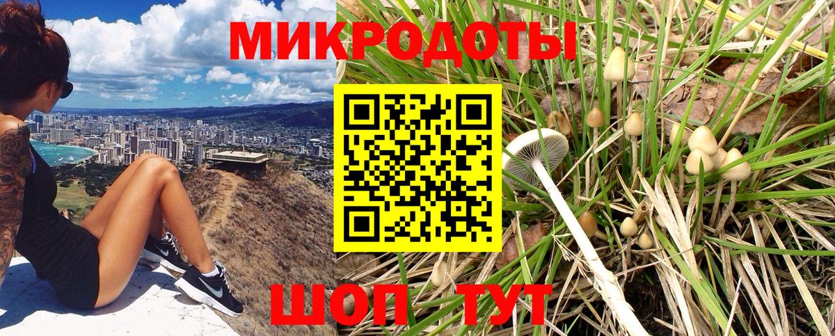 Гагарин  Псилоцибиновые грибы Psilocybe  купить наркотики сайты  Вход с VPN 