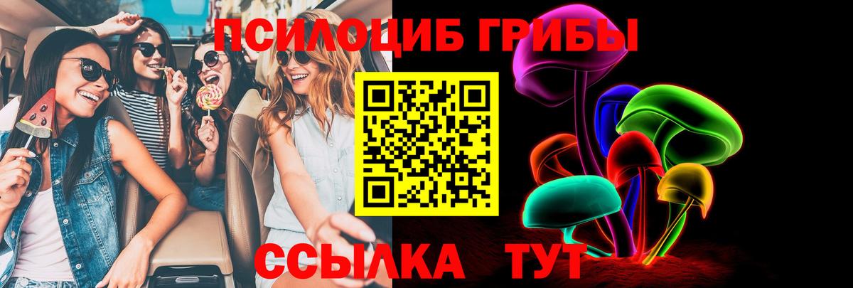 Галлюциногенные грибы Cubensis  где можно купить   Гагарин 